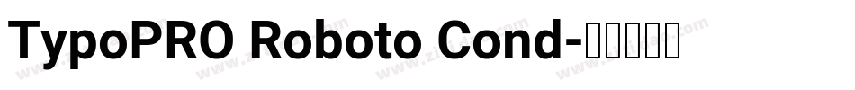 TypoPRO Roboto Cond字体转换